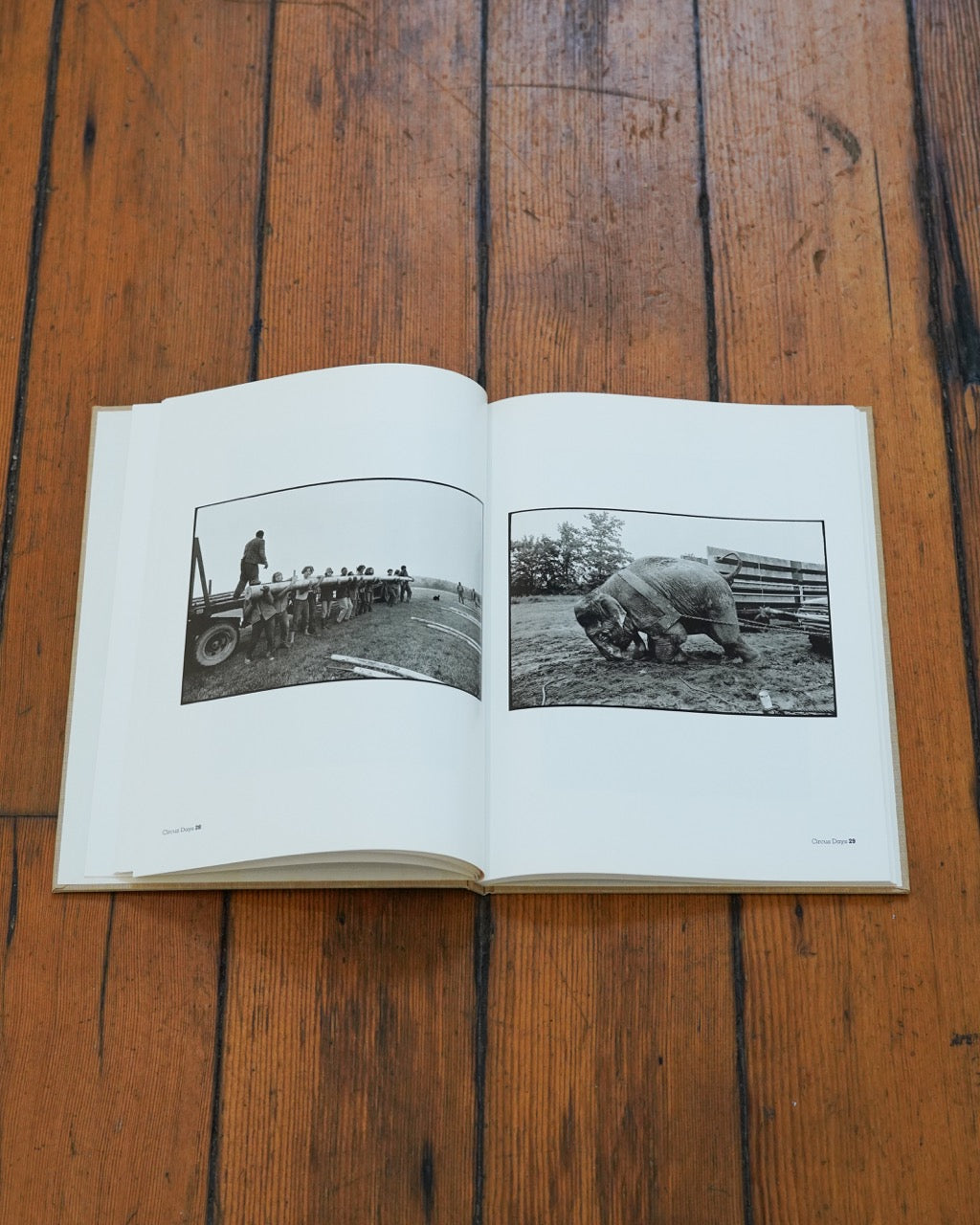 Circus Days | Jill Freedman | SIGNED COPY