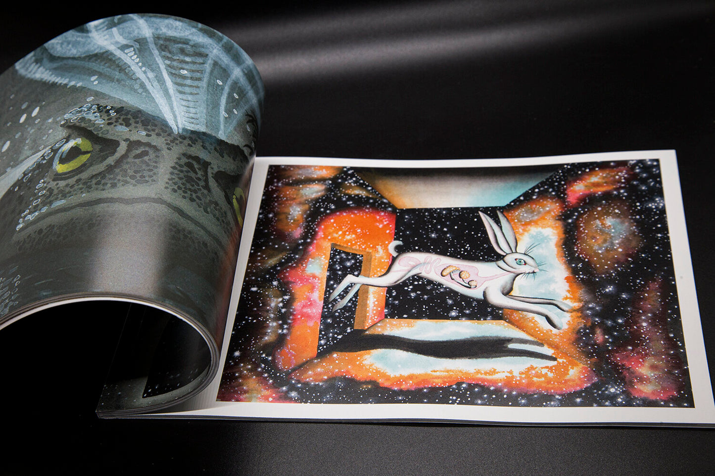 JULIAN BAST | Black Dagger Books | VOL 16