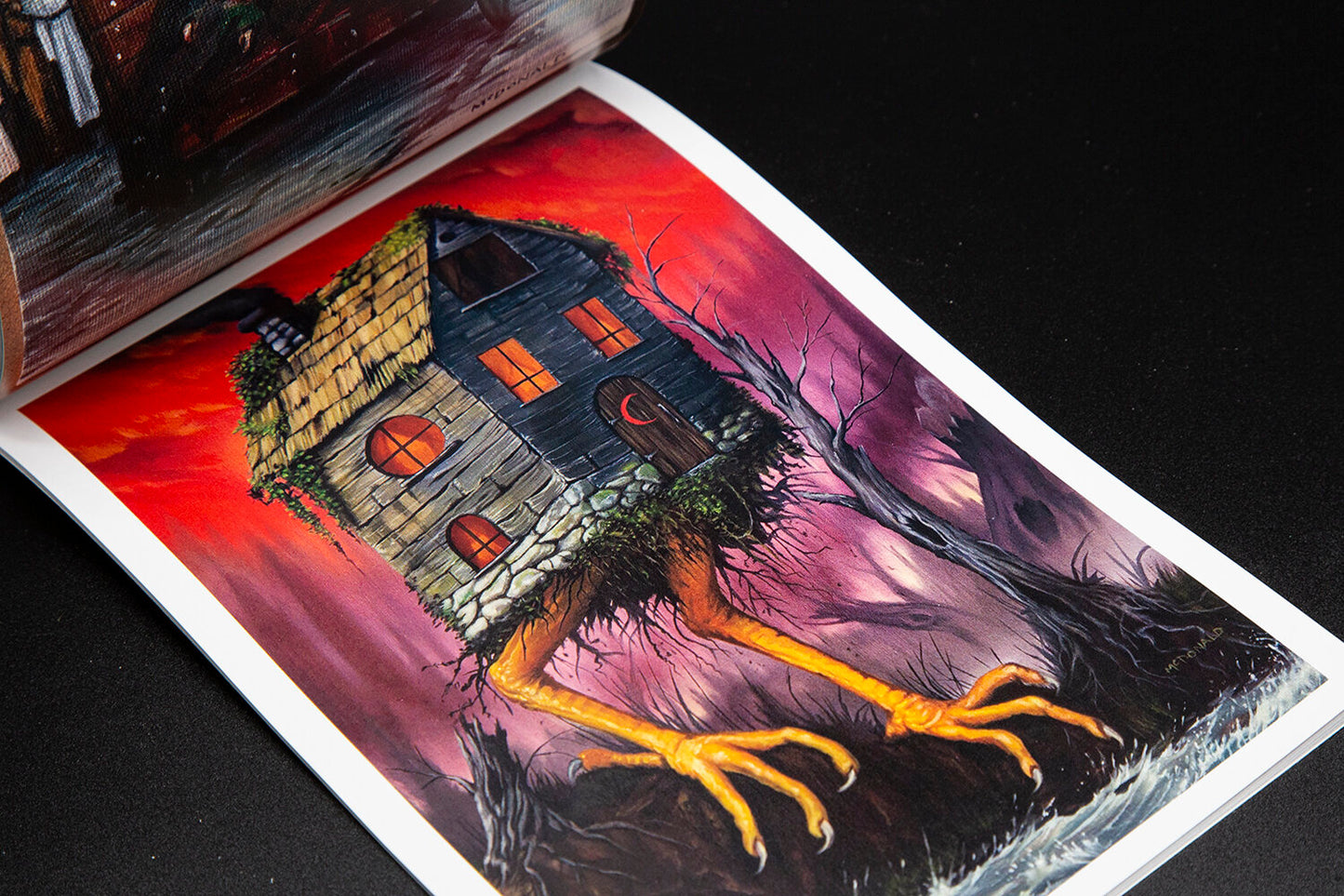 SHAWN MCDONALD | Black Dagger Books | VOL 19